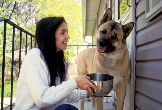 Wystaw miskę z wodą dla psa Kliknięcie w obrazek spowoduje wyświetlenie jego powiększenia